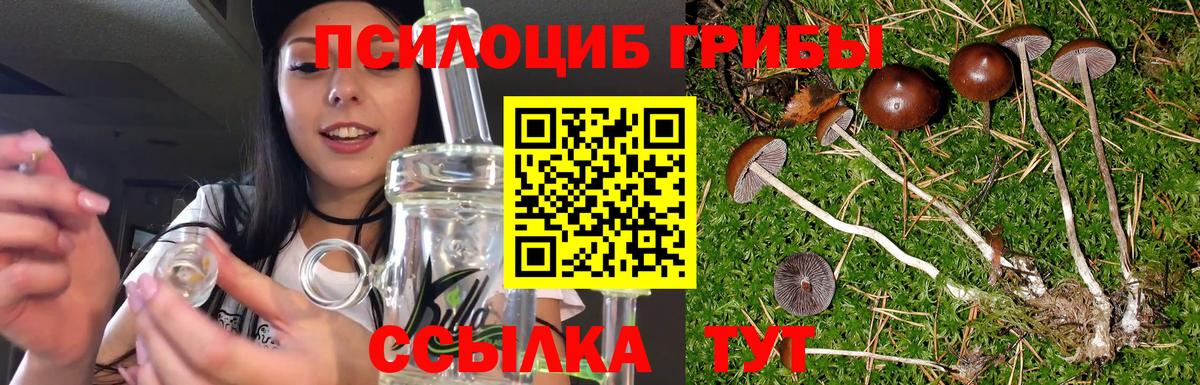 Псилоцибиновые грибы мухоморы Свободный